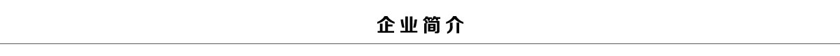 企業(yè)簡(jiǎn)介 企業(yè)簡(jiǎn)介